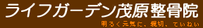 ライフガーデン茂原整骨院