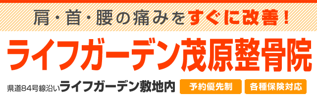 ライフガーデン茂原整骨院